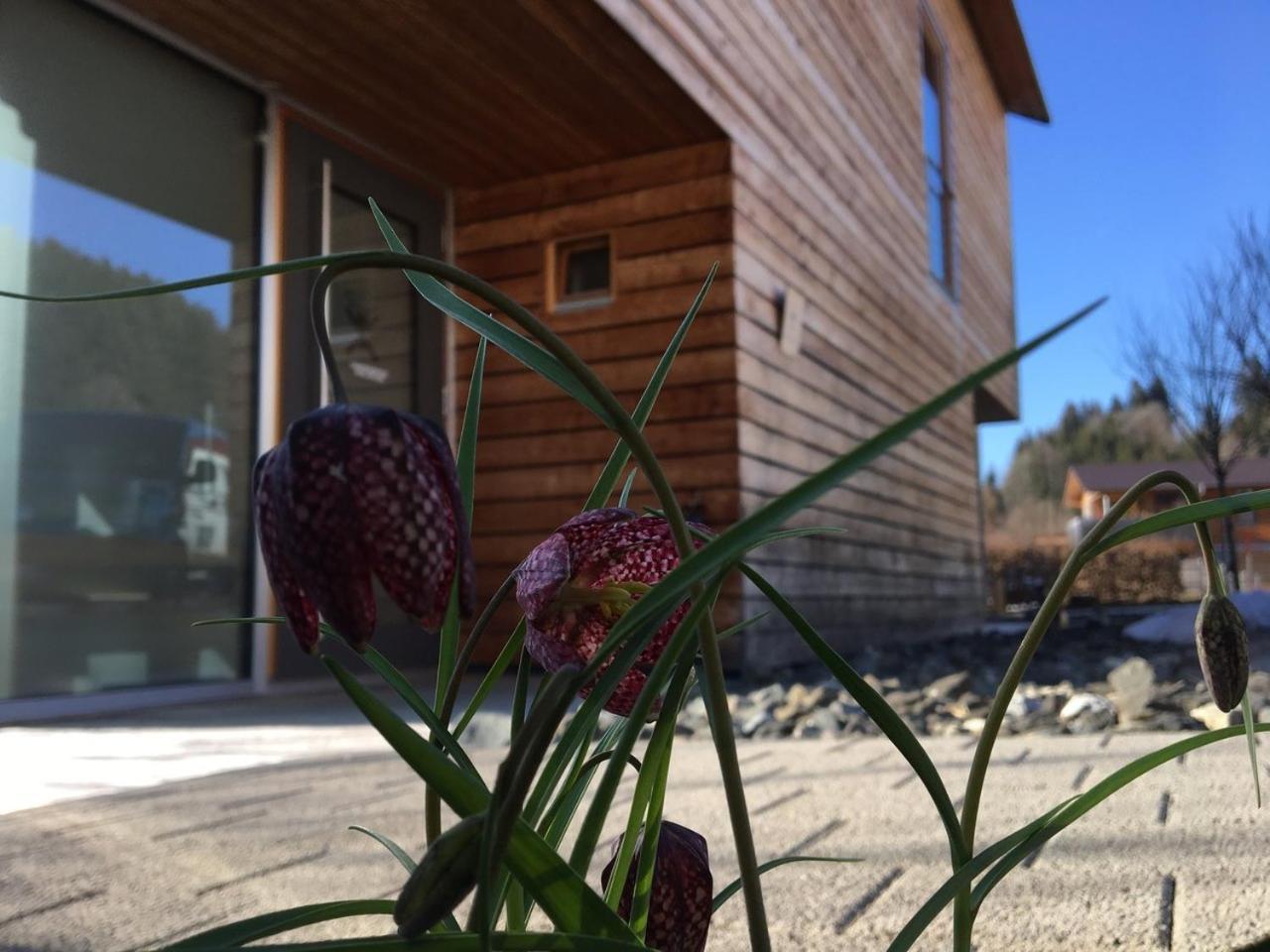 Gaestewohnung Zum Atelier Appartement Immenstadt im Allgäu